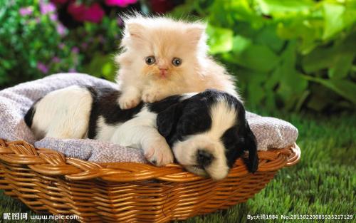 ÄæÐУ¡ÄæÓö£¡ÄæÏ®£¡¿ìµÝС¸çÓÚÑóÑóÓÖÂòÁËÁ½Á¾³µ