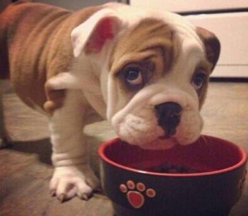 ÚöáÁ´óÒØÂ«É½¹²½¨°ÍÊñÎÄÂÃ×ßÀÈ ×ÜͶ×Ê324.4ÒÚÎÄÂý»Í¨ÏîĿǩԼ